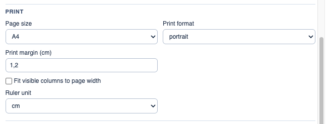 Print setup in File Settings